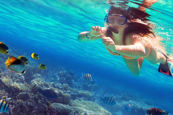 Paradise Island Snorkeling Trip From Hurghada