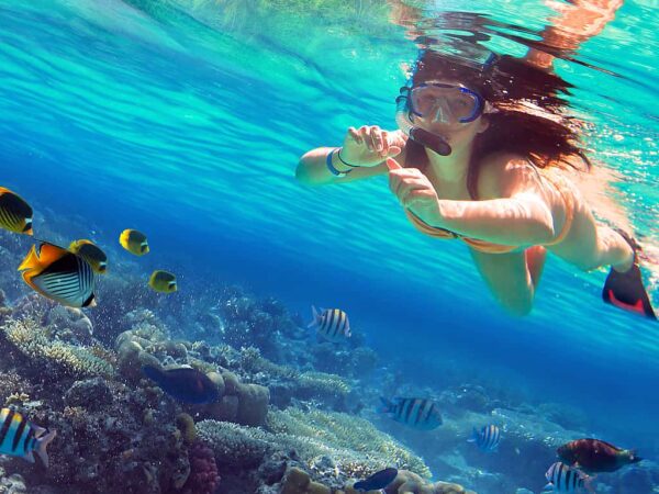 Paradise Island Snorkeling Trip From Hurghada