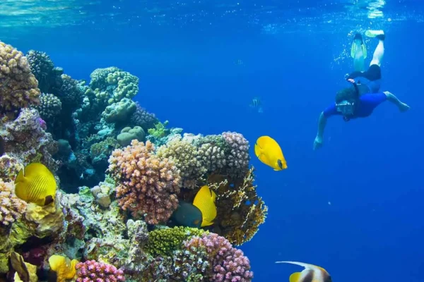 Diving Trip in Marsa Alam