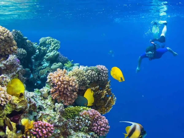 Diving Trip in Marsa Alam