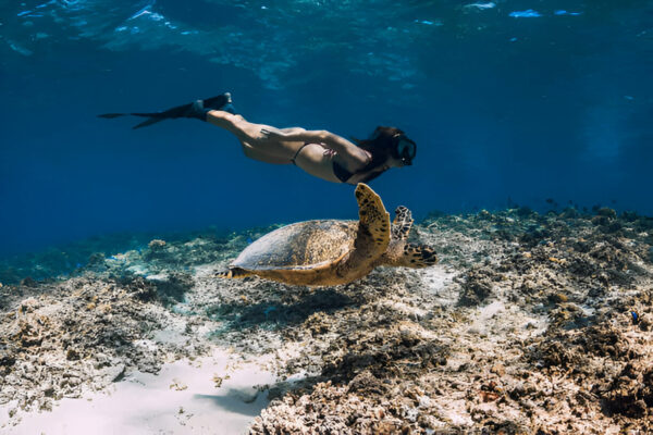 Snorkeling Trip to Hamata Islands from Marsa Alam