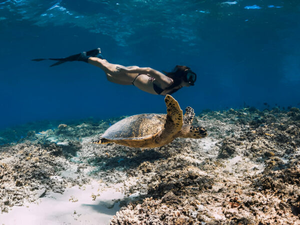 Snorkeling Trip to Hamata Islands from Marsa Alam