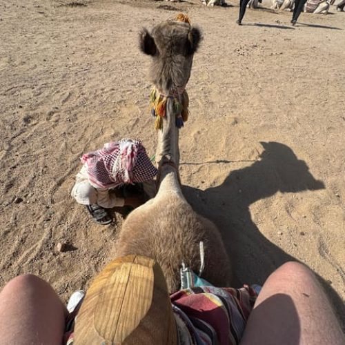 hurghada-desert-safari-with-quad-bike-dune-buggy-camel-ride-bedouin-village-experience-996275